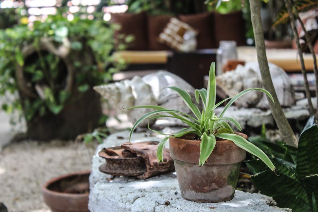 Secret Garden Tulum Hotel 外观 照片