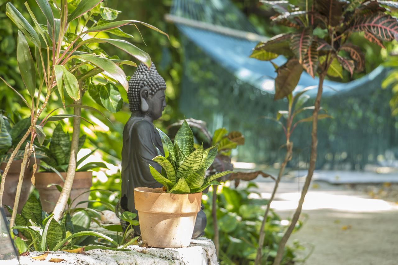 Secret Garden Tulum Hotel 外观 照片