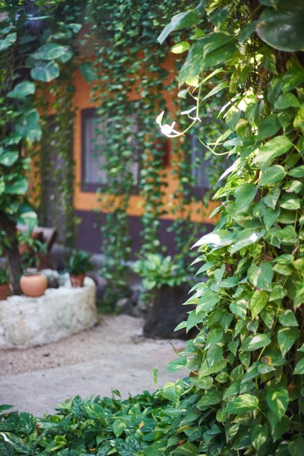 Secret Garden Tulum Hotel 外观 照片